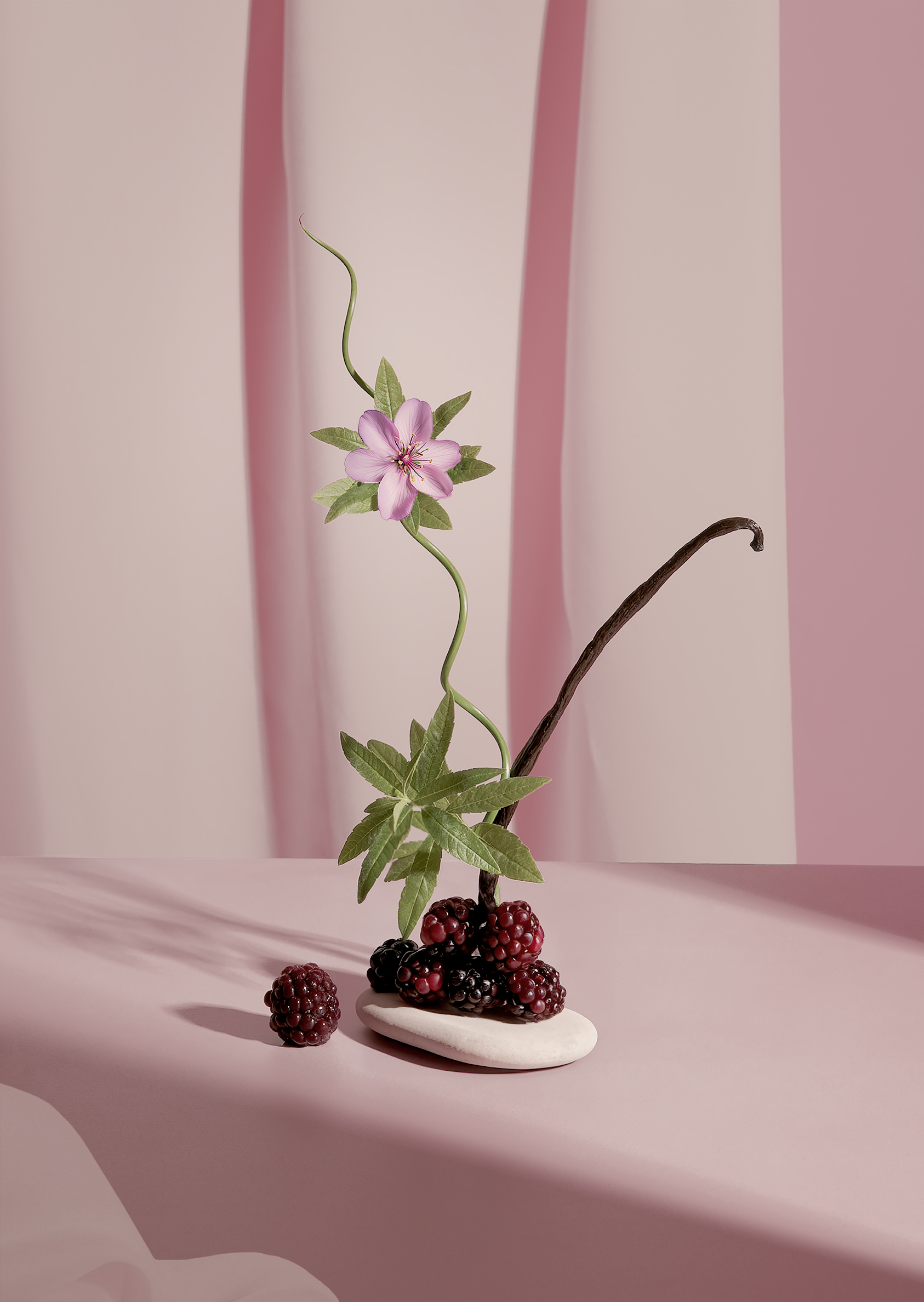Murmure Gourmand